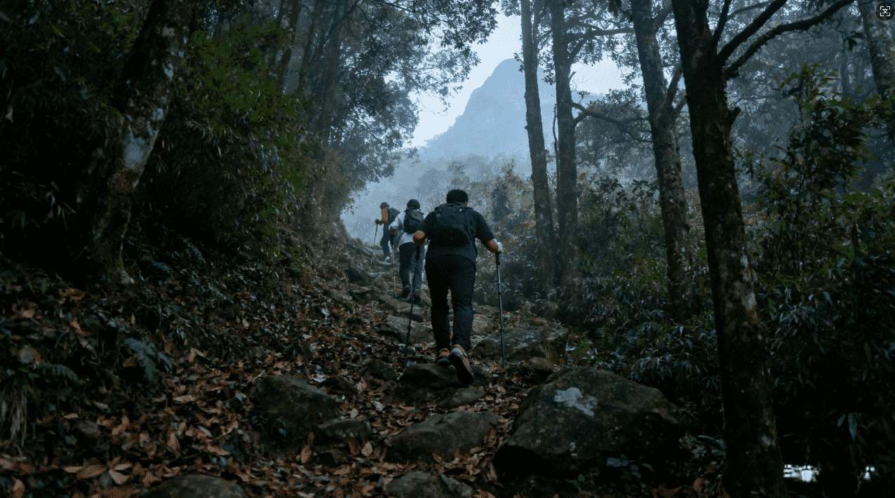 袋鼠加速器要不要钱？详细说明收费情况与使用建议