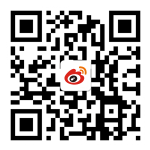 袋鼠加速器下载速度稳定而上传频繁归零怎么排查？延迟、丢包、节点与线路实测方法｜web-acedaishu.com